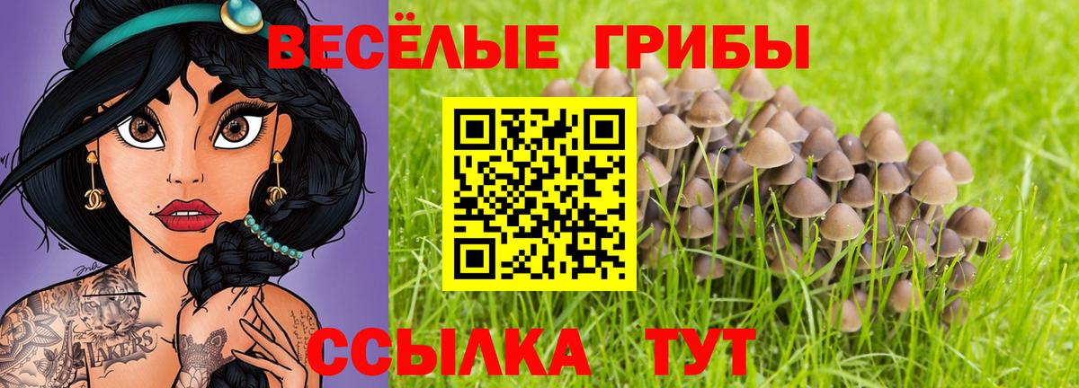 Галлюциногенные грибы Magic Shrooms Бахчисарай